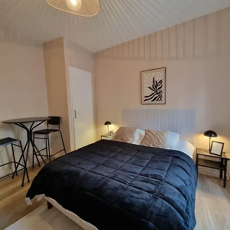 Paul - Proche Gare Centre & Arena Apartment